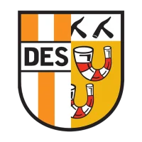 DES hockey